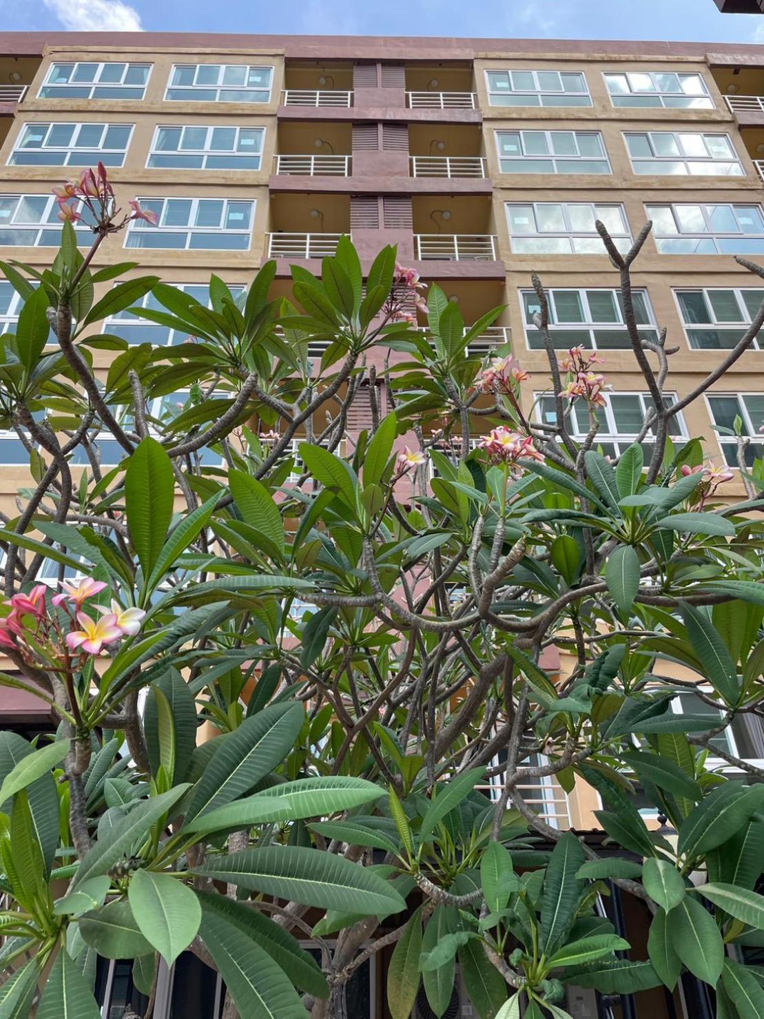 H2Do Hotel Ban Khlong Sanam Phli Экстерьер фото